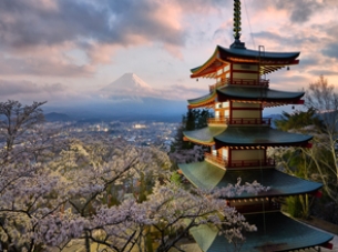 Amazing Japan