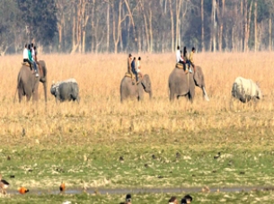 North East Wildlife Tour