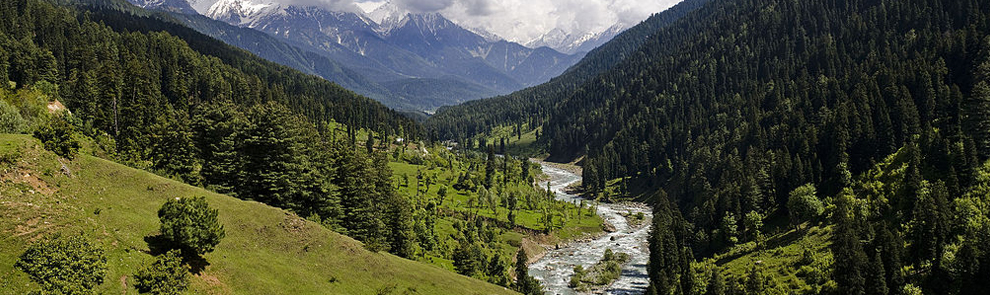 Awesome kashmir