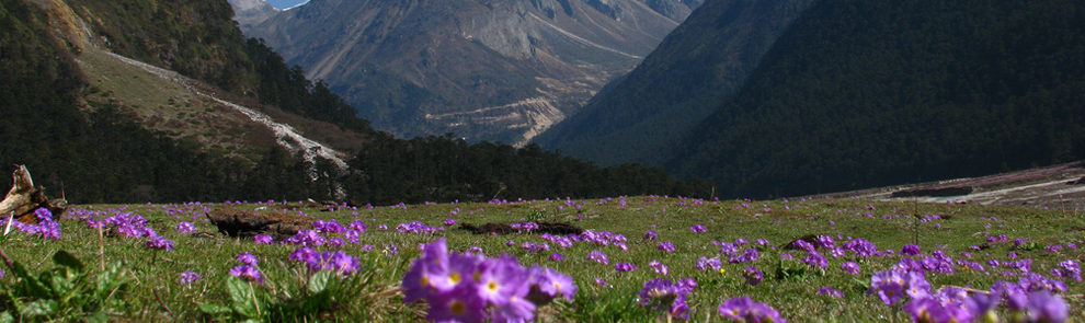 Sikkim Bengal Awesome